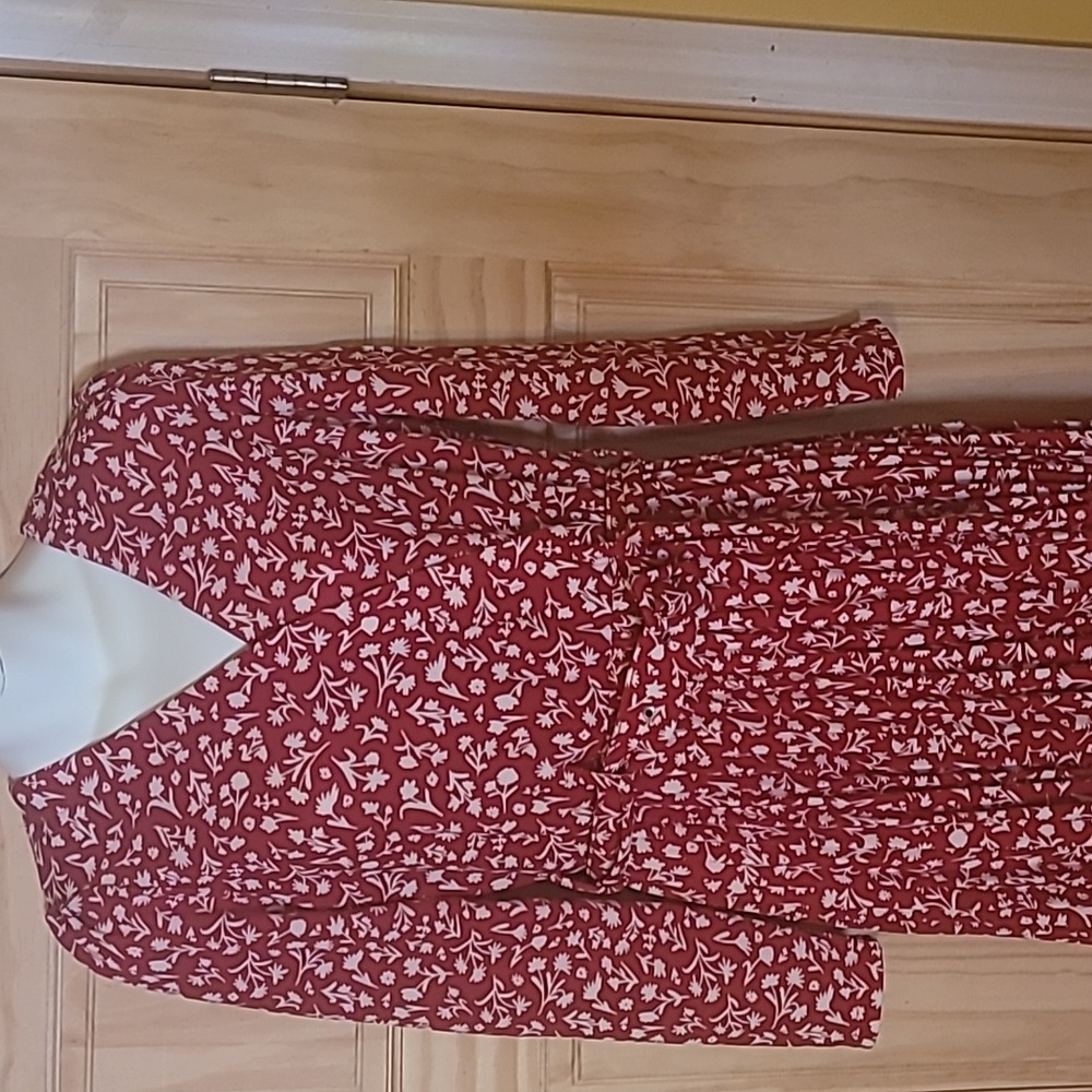 Lark + Grey Red Floral V-Neck Dress